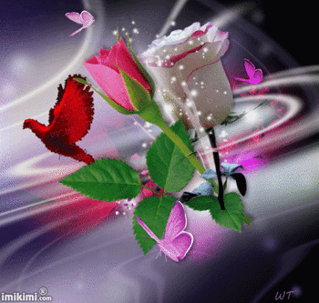 晚安 朋友  下班 是不是急著回家嗎 !