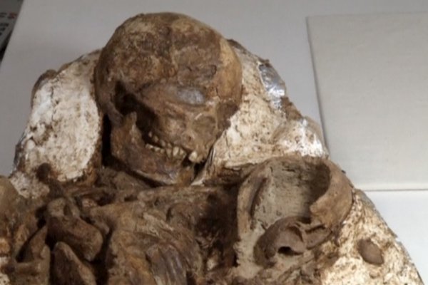 這對母子化石-古老的人類化石 -在台中地區出土