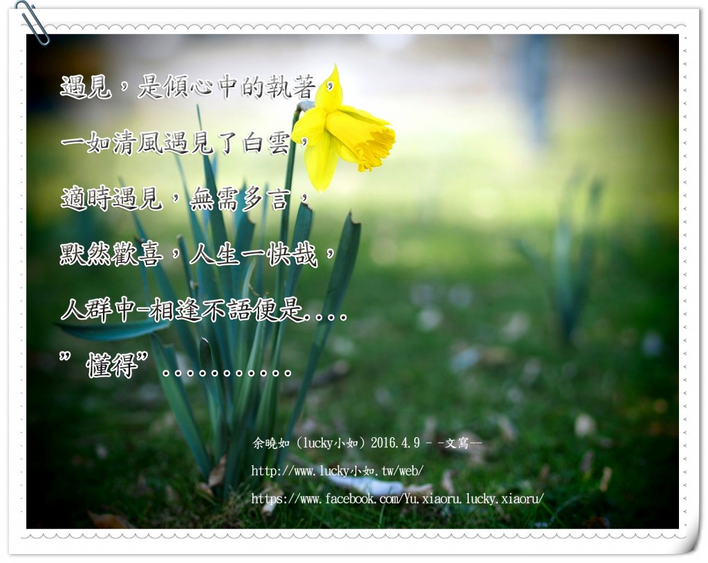 相逢不語便是 “懂得”………..