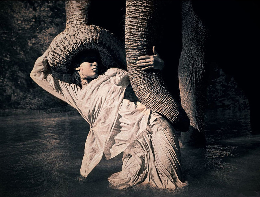 震撼世界15年 作品  豈止是美！