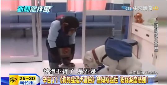 懷念小龐與詹姆士