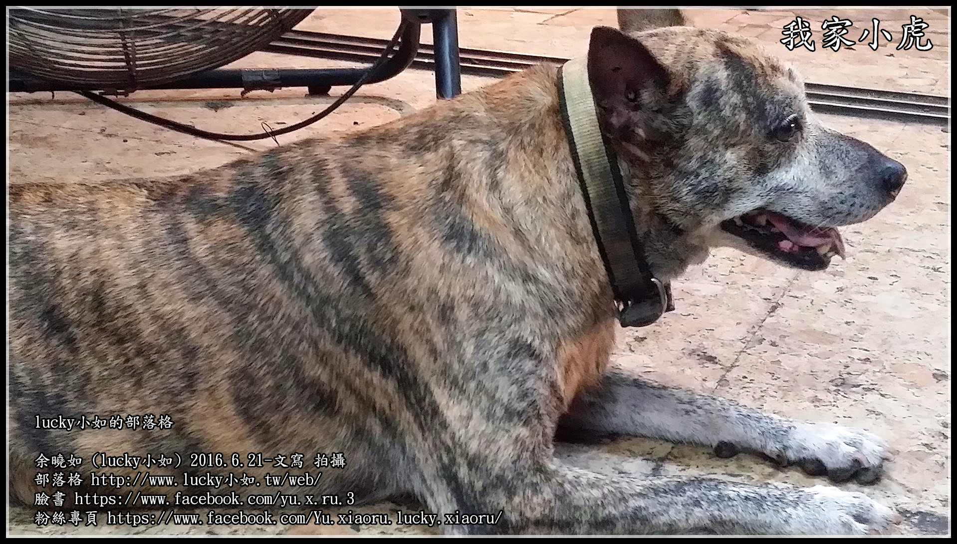 20160621_204422_副本