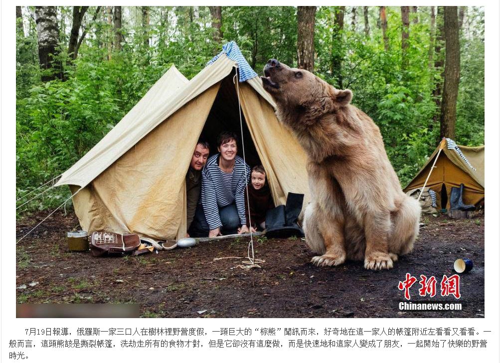 俄羅斯一家三口野露營 遭遇“棕熊”来串門