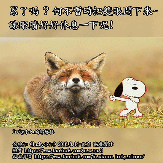累了嗎 ? 何不暫時把雙眼閉下來~  讓眼睛好好休息一下呢!