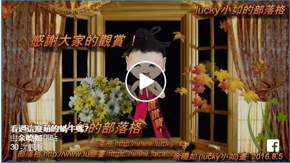 看過這麼萌的蝸牛嗎?