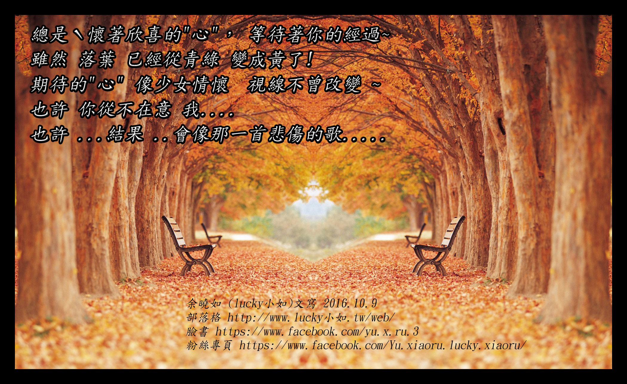 寂寞的   落葉 景色  讓我想起  在很久 很久 以前  ~~    曾為你寫了 這一首詩…..