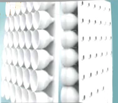 %e6%93%b7%e5%8f%96-jpg000