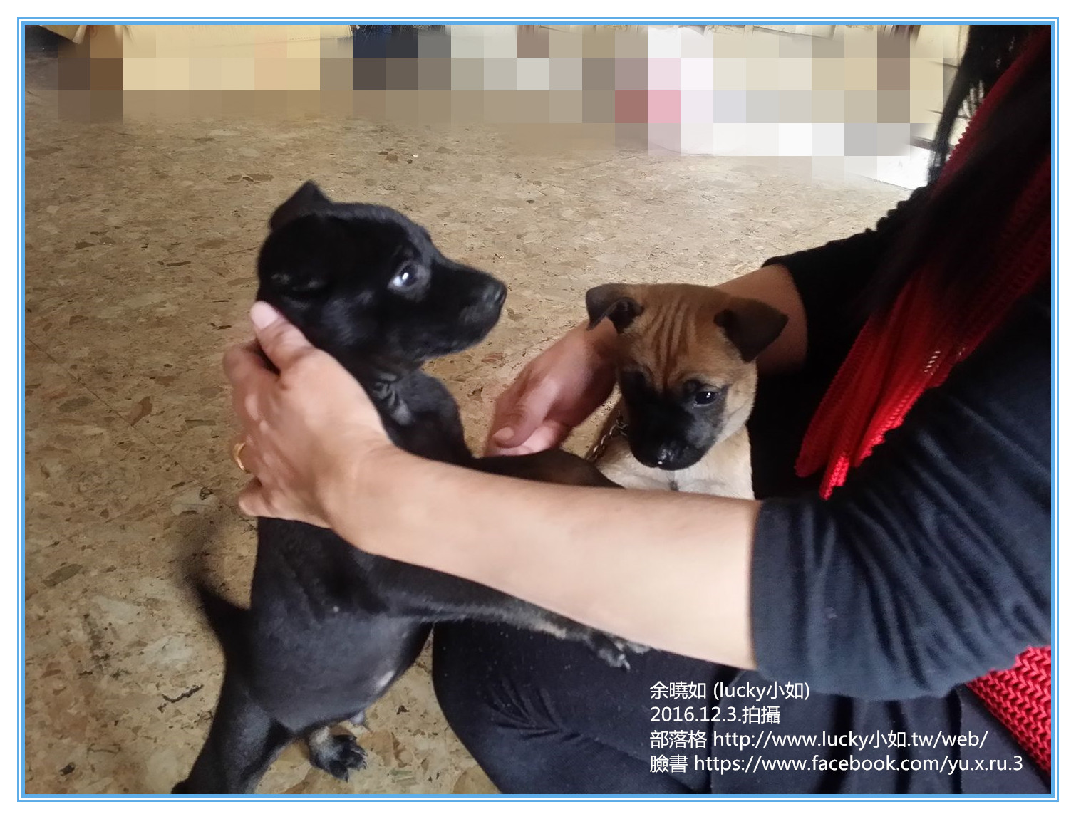 有一種讓人很難過的 ~【是離別~】….心情正低落著..