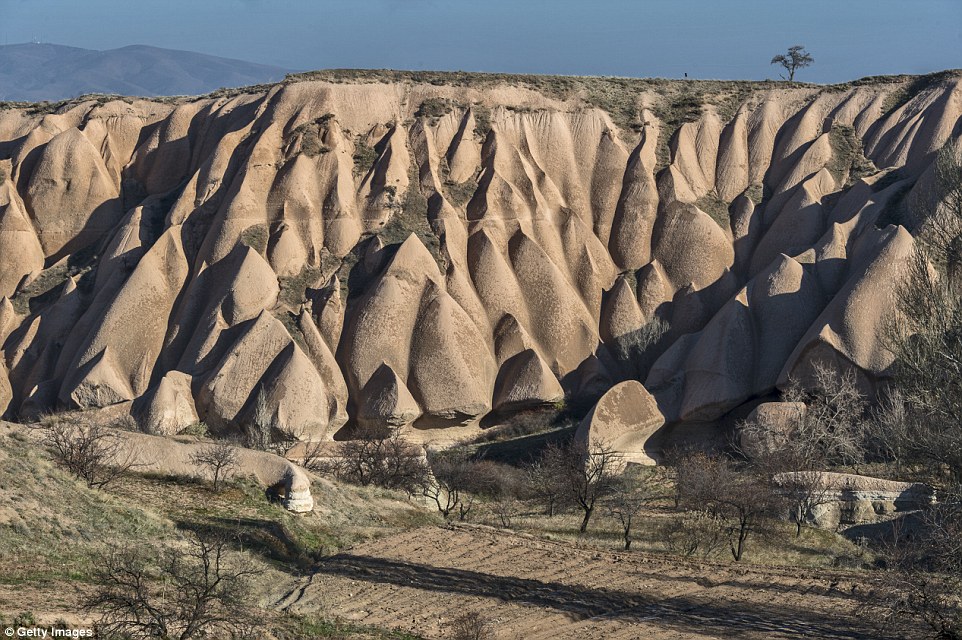 3b5e223100000578-4032200-image-a-26_1481709052786