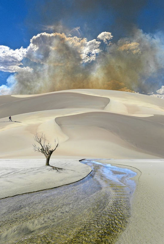 不錯的 【沙漠景色】