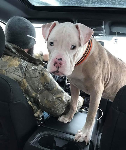 420_3faa74a8dabeb51d37a9817c96347420