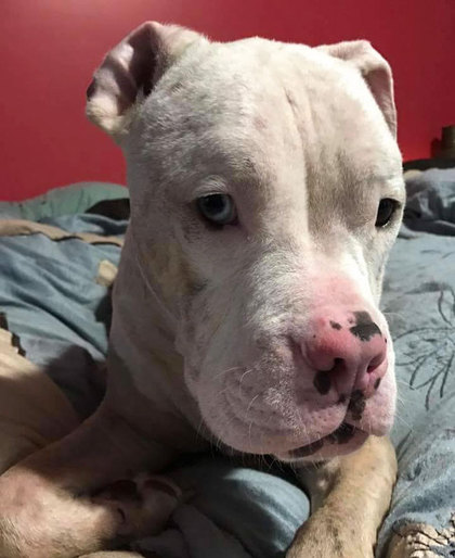 420_a7b35c1ba28af7f7ee321a1be156d760