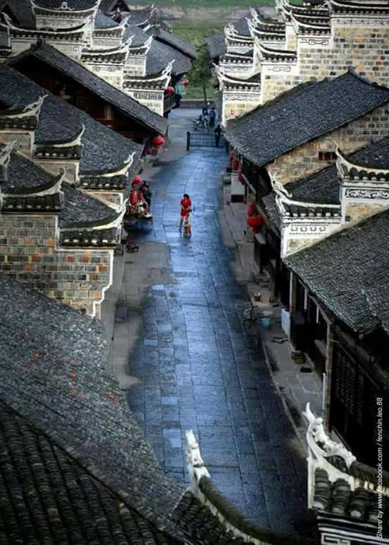 不圓滿才是人生  回想我們那個年代，看不到錢途，卻讀進許多動人心扉的文句！