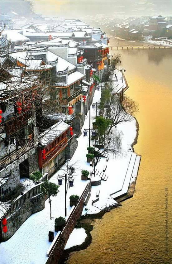 17190948_1797030647287722_1119340017433293620_n