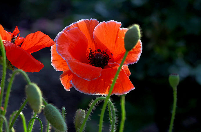 歲月給女人的高貴
