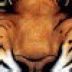 ipewos 的簡介照片