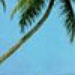 ymyzisyn 的簡介照片