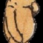 ozegudime 的簡介照片