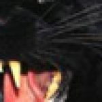 itavugo 的簡介照片